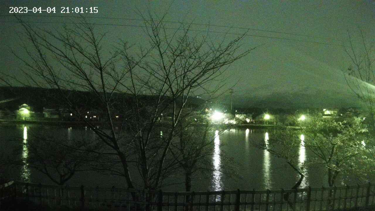 sakura-20230404210115.jpg