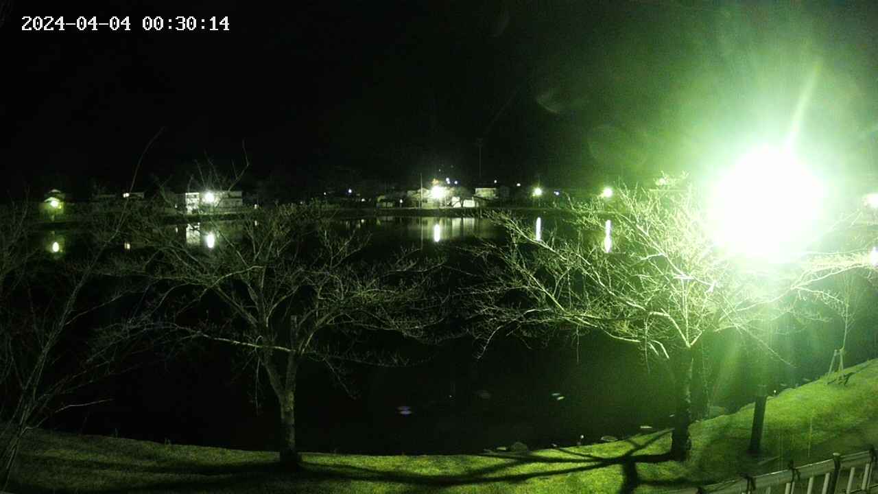 sakura-20240404003016.jpg