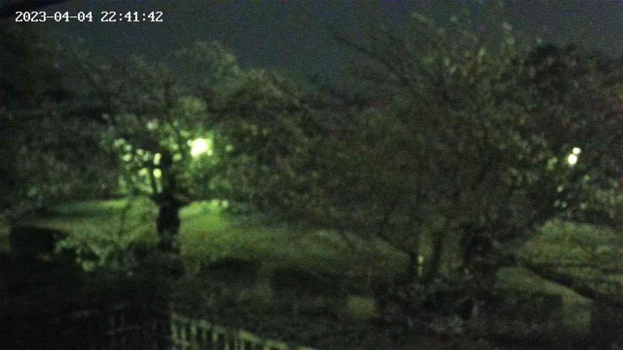 sakura3-20230404224142.jpg