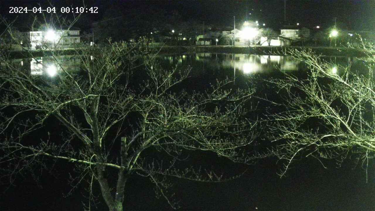 sakura3-20240404001043.jpg