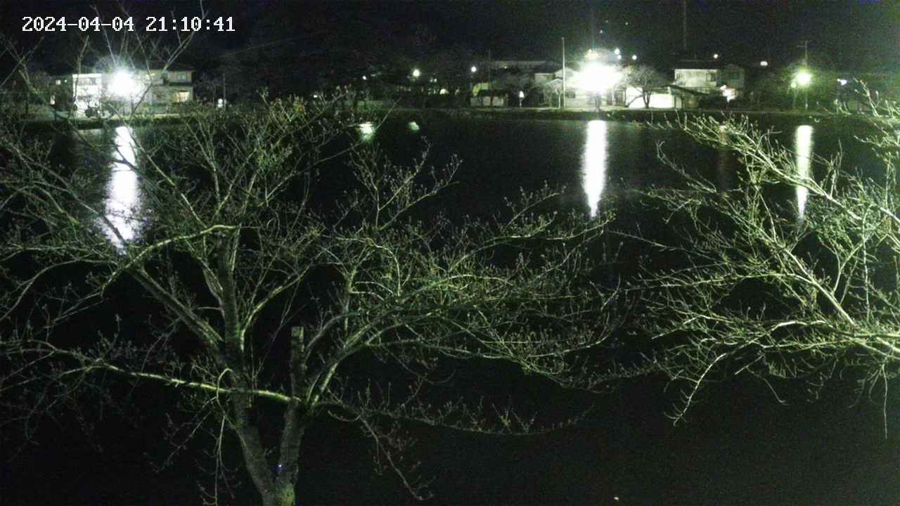 sakura3-20240404211042.jpg