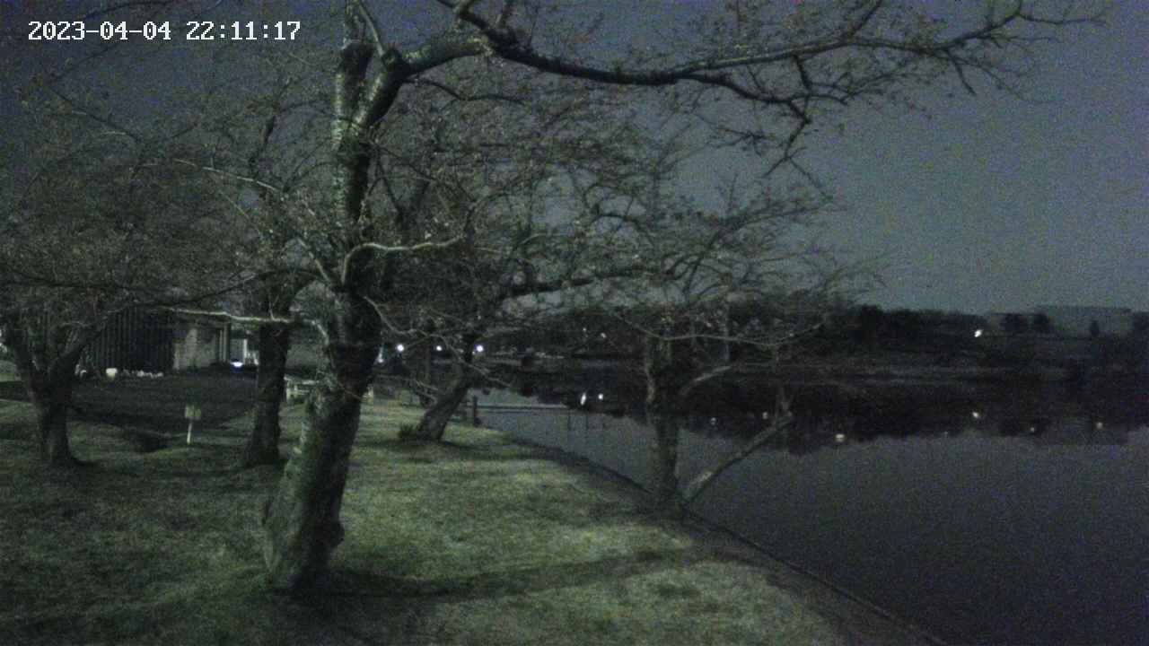 shirase1-20230404221114.jpg