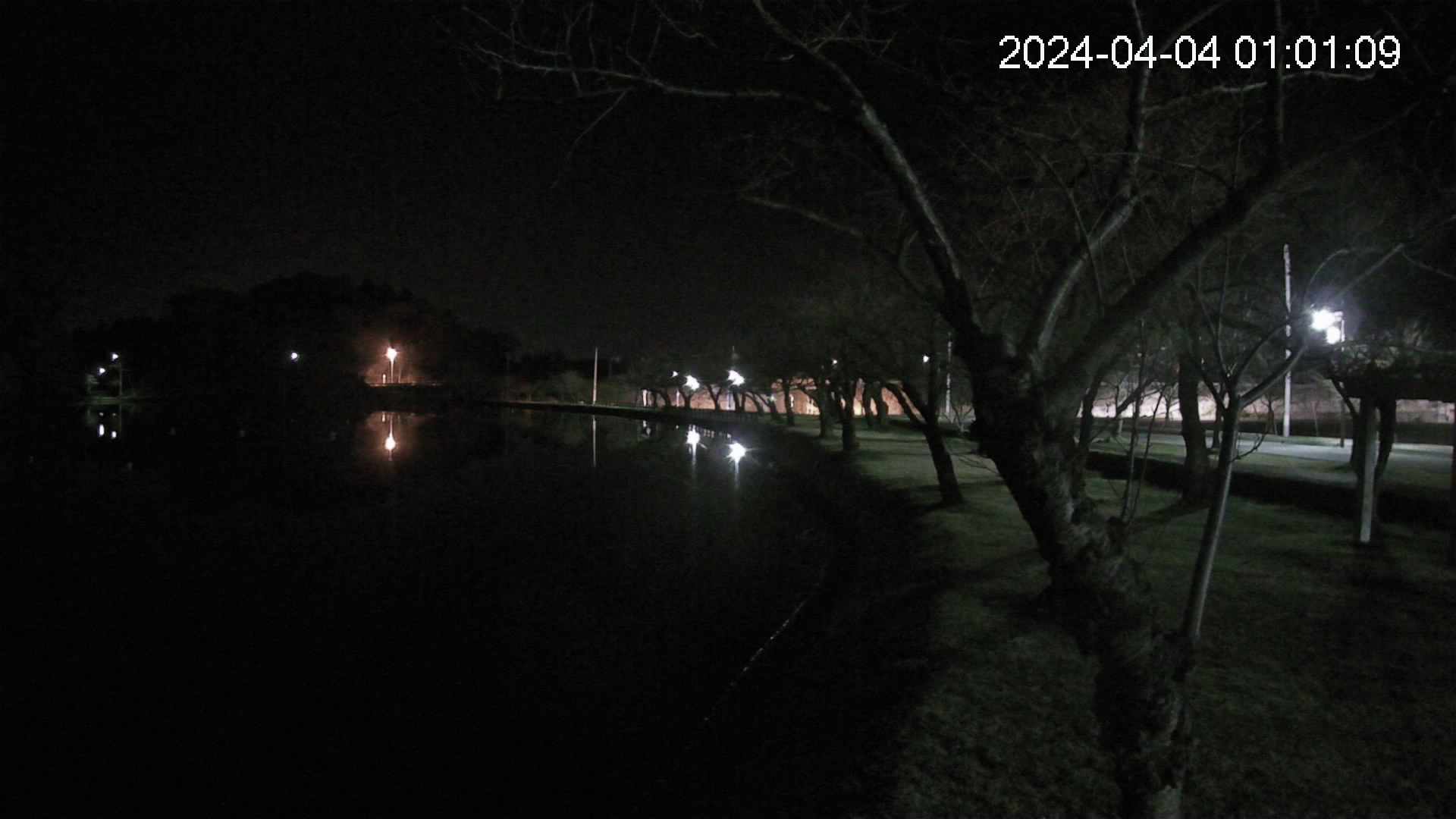shirase1-20240404010109.jpg