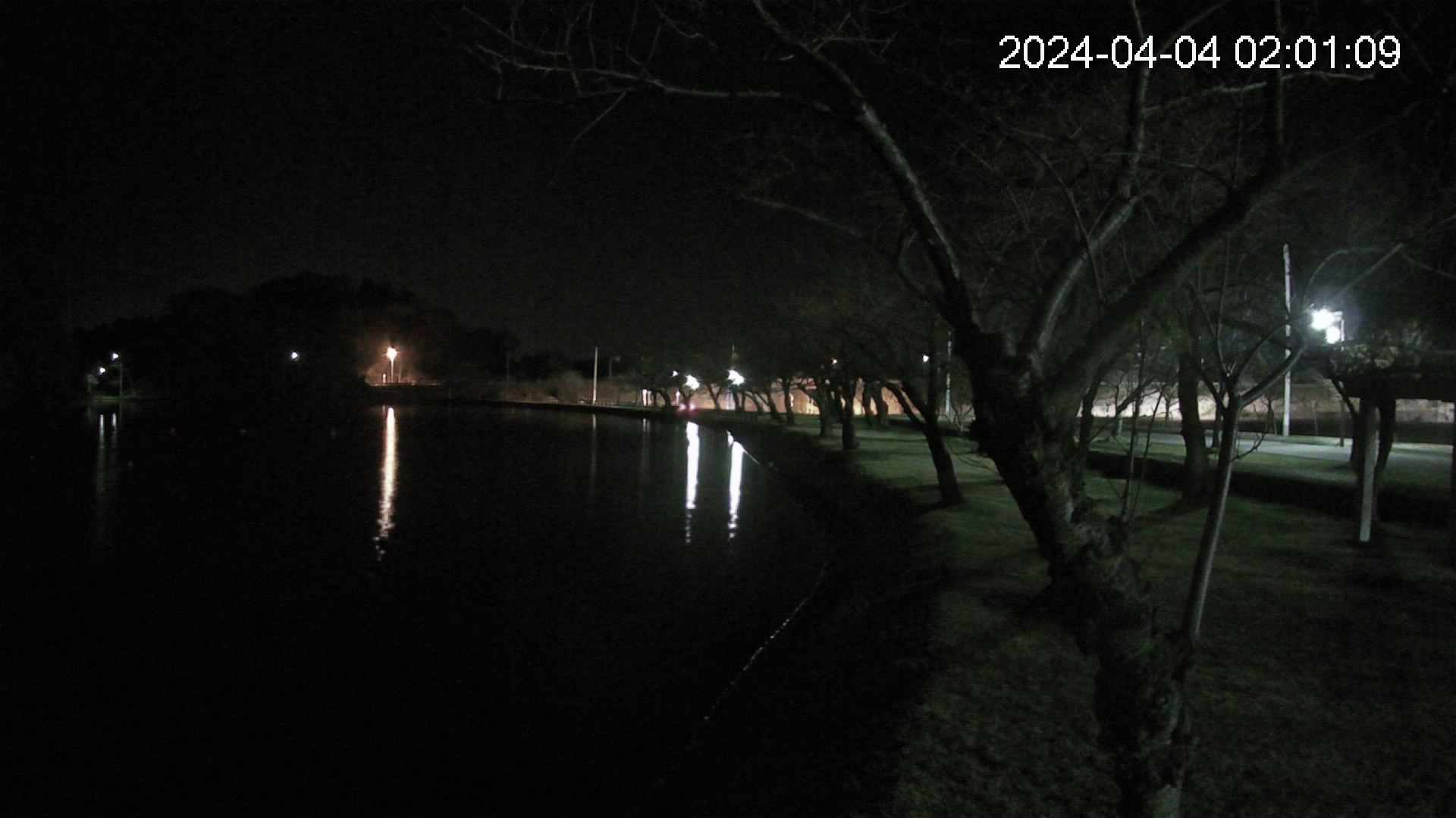 shirase1-20240404020109.jpg