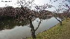 shirase2-20230404081129.jpg