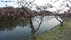 shirase2-20230404175132.jpg