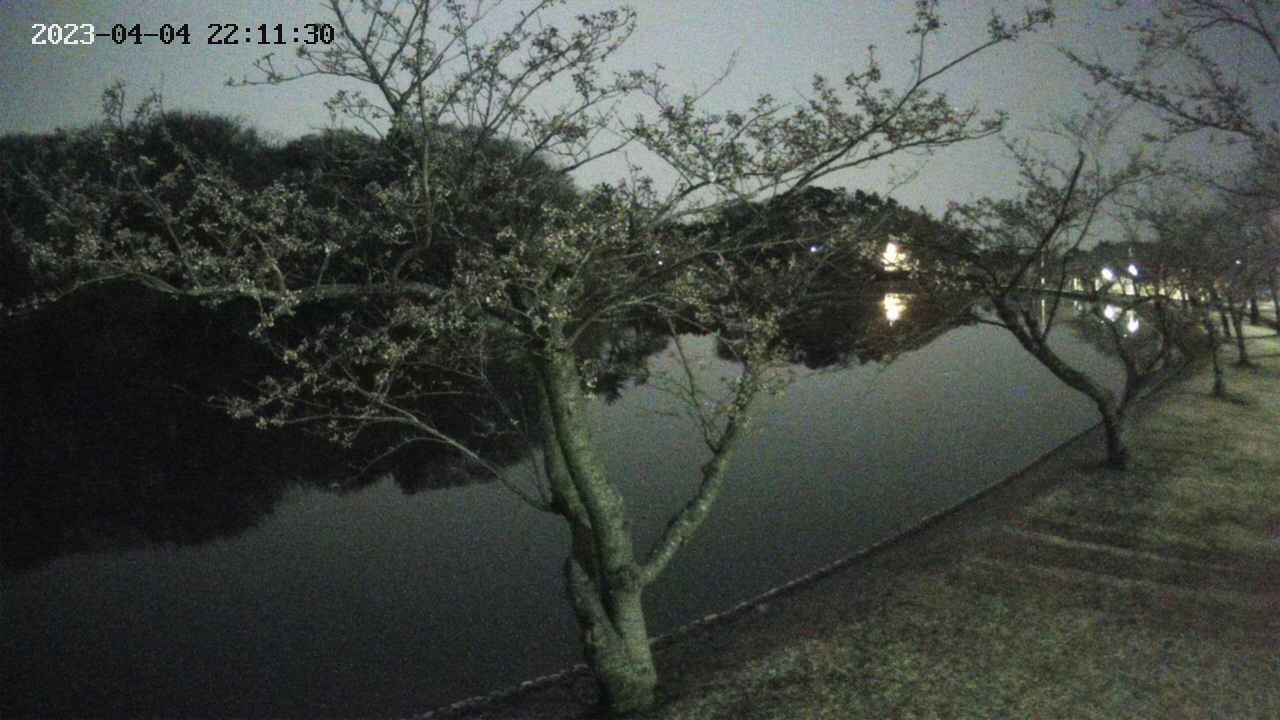 shirase2-20230404221128.jpg
