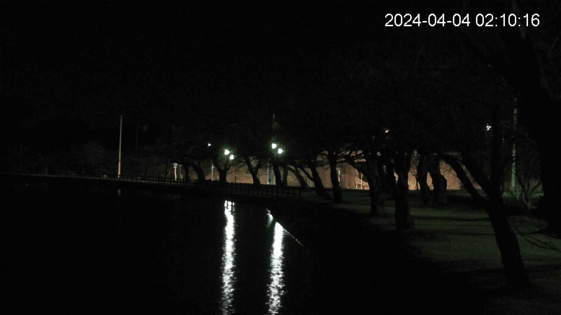 shirase2-20240404021016.jpg