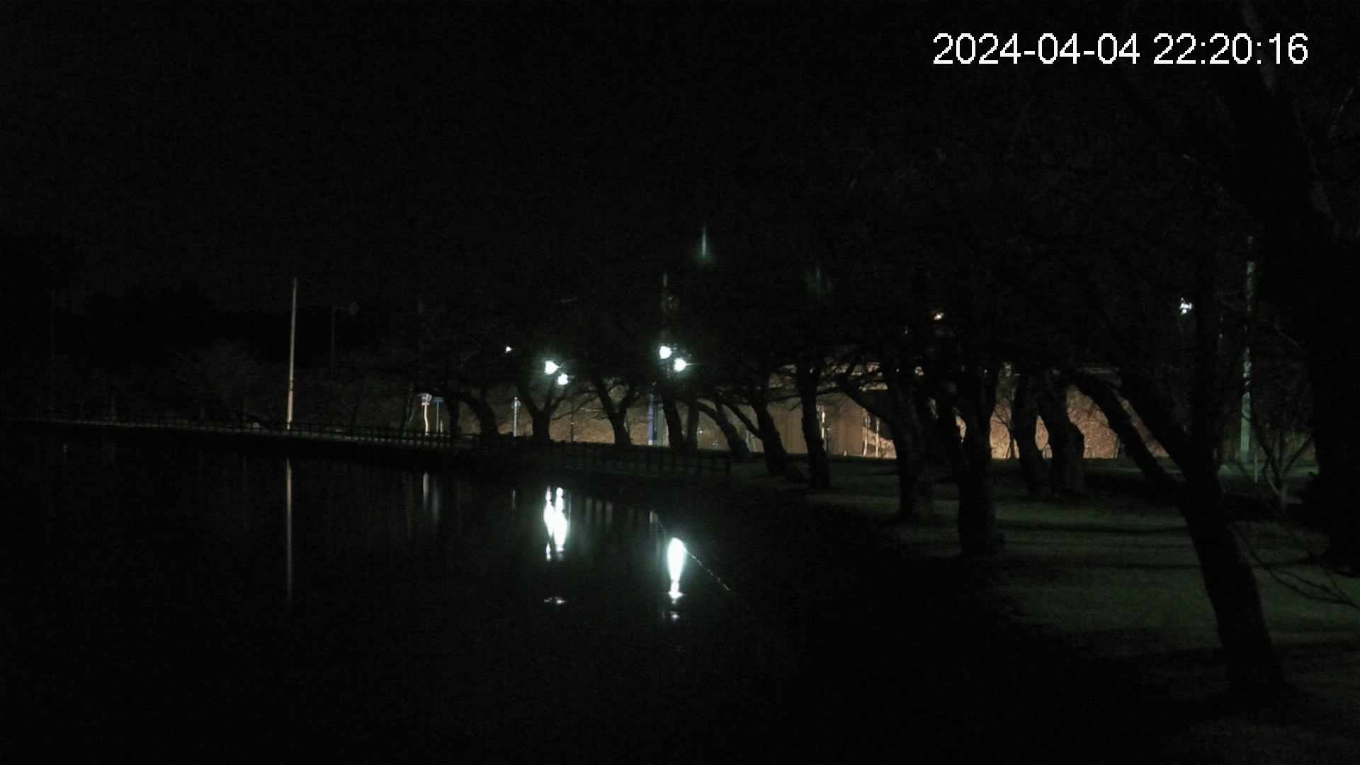 shirase2-20240404222016.jpg