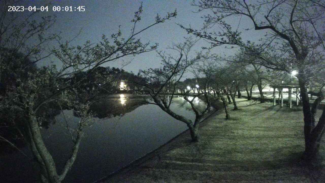 shirase3-20230404000141.jpg