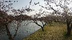 shirase3-20230404164144.jpg