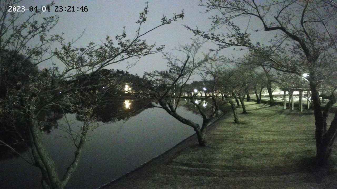 shirase3-20230404232142.jpg