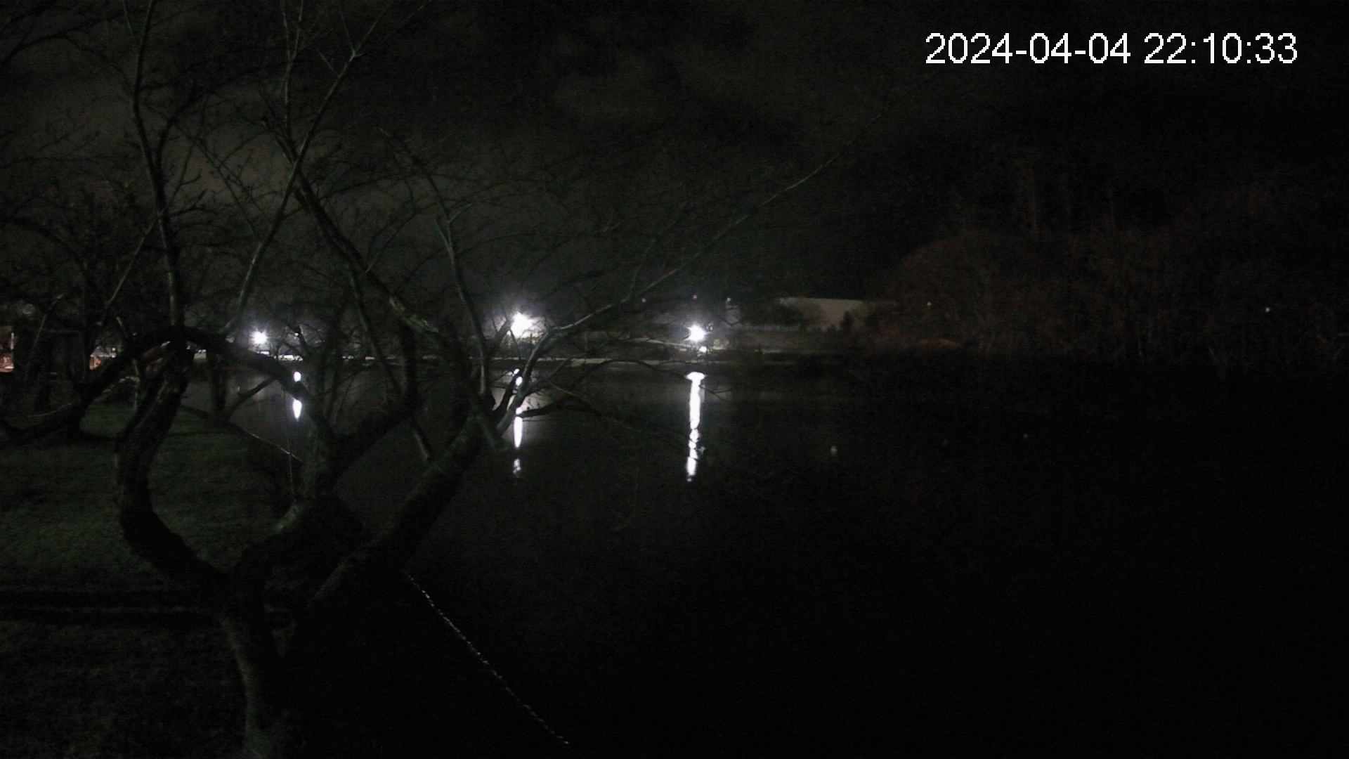 shirase3-20240404221033.jpg
