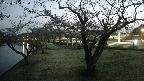 shirase4-20230404184158.jpg