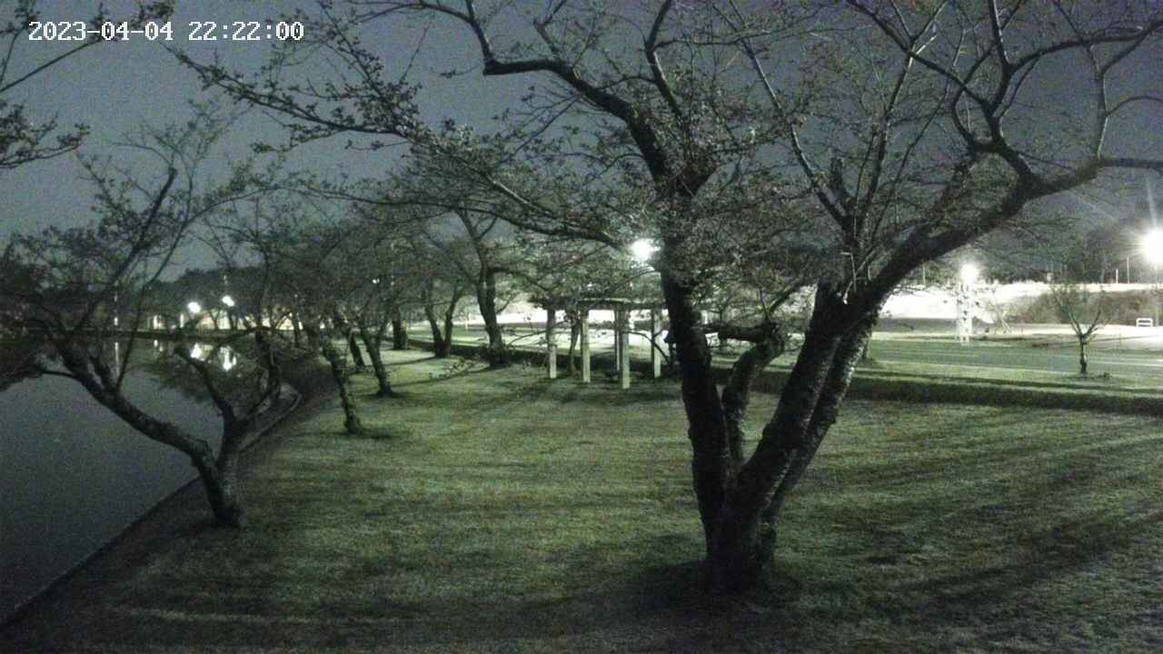 shirase4-20230404222157.jpg