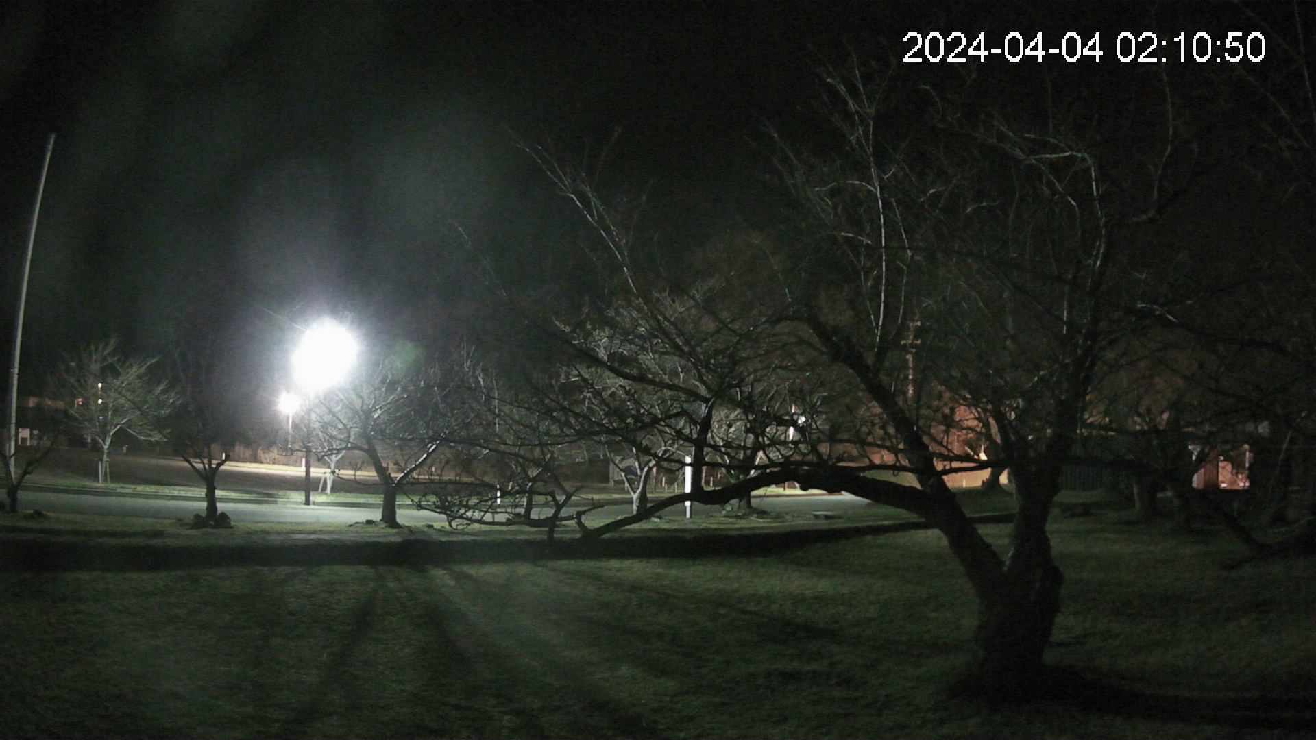shirase4-20240404021049.jpg