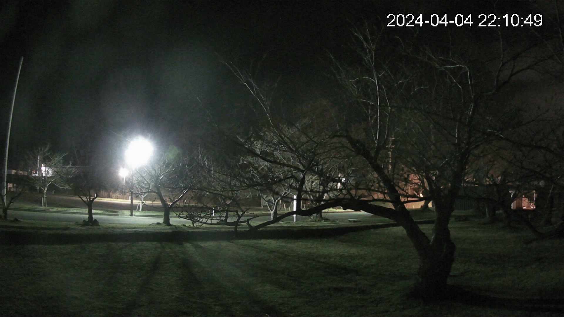 shirase4-20240404221049.jpg