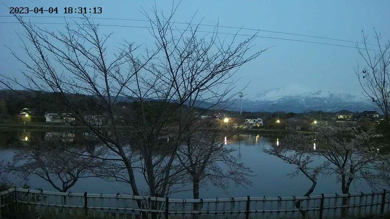 sakura-20230404183114.jpg