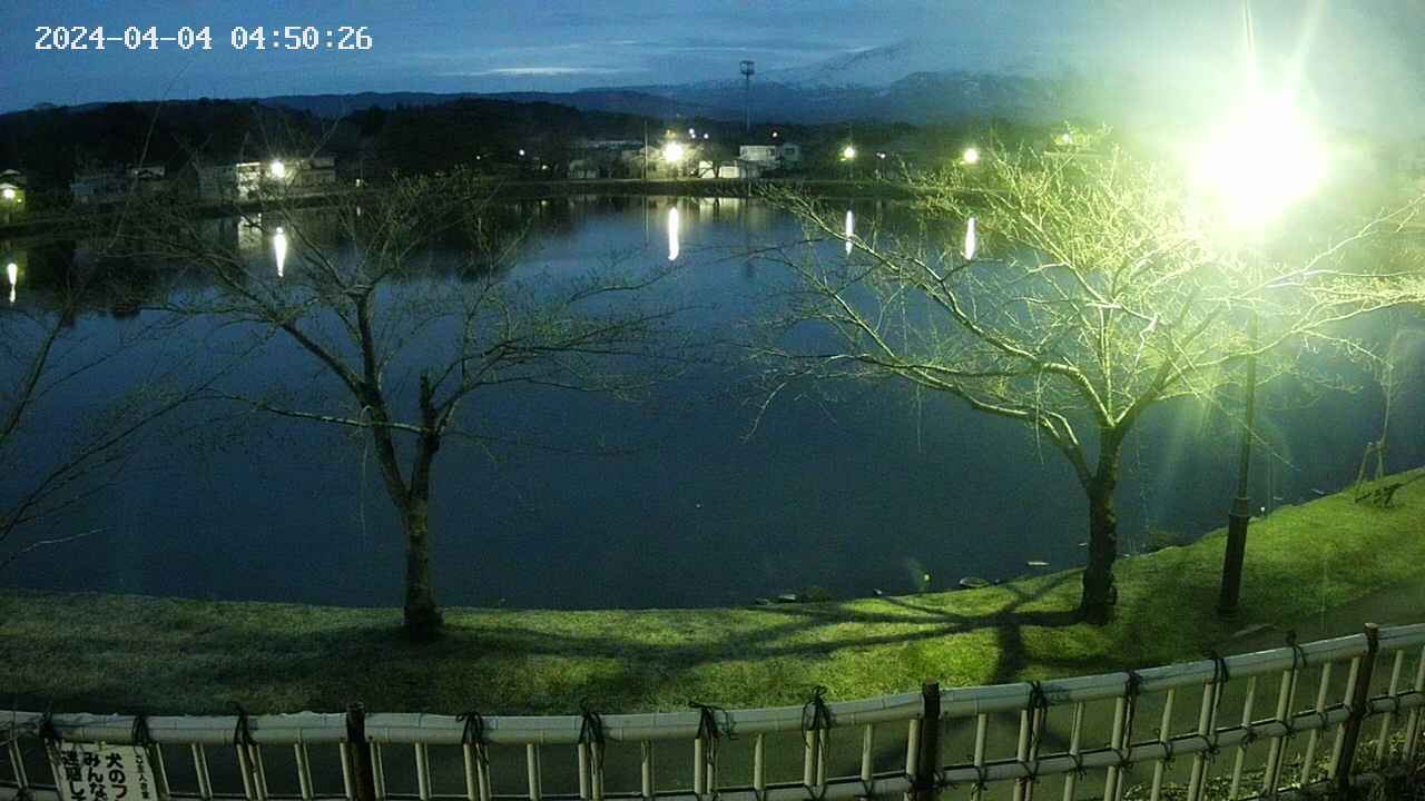 sakura2-20240404045027.jpg