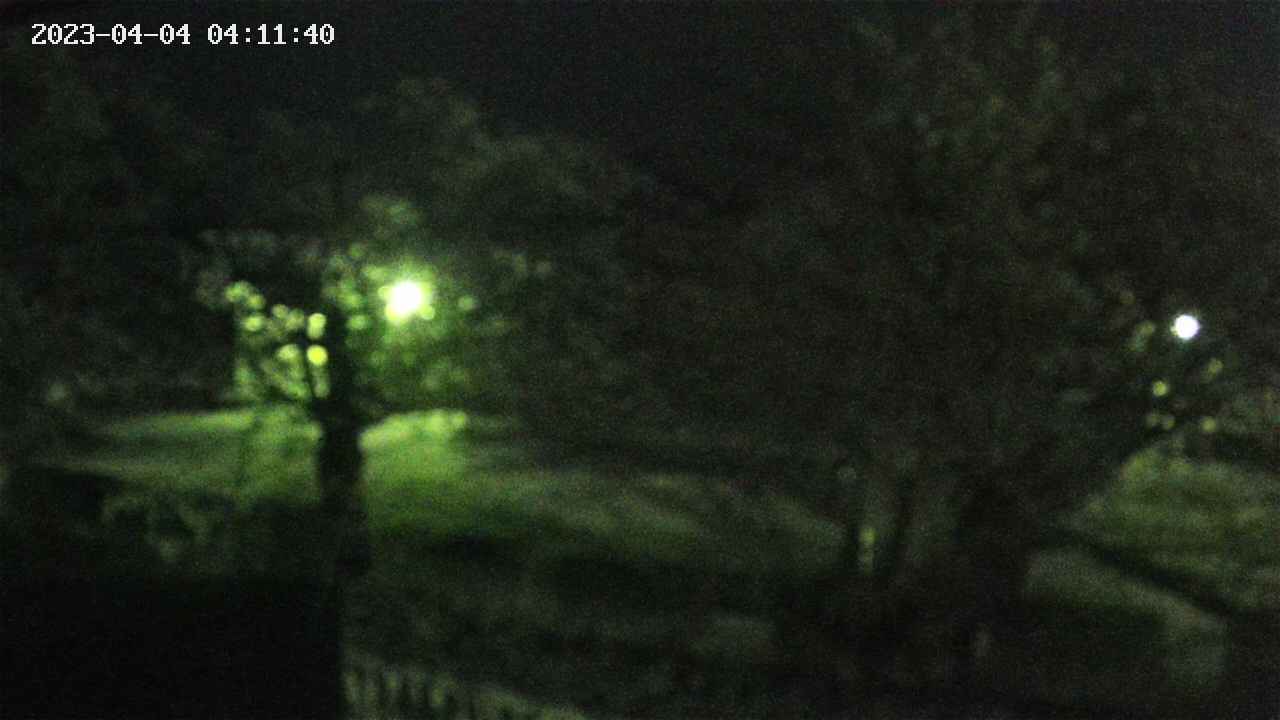 sakura3-20230404041141.jpg