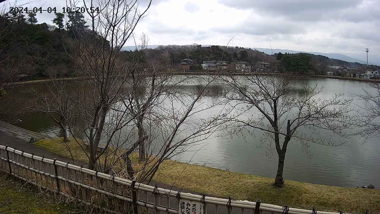 sakura4-20240404102056.jpg