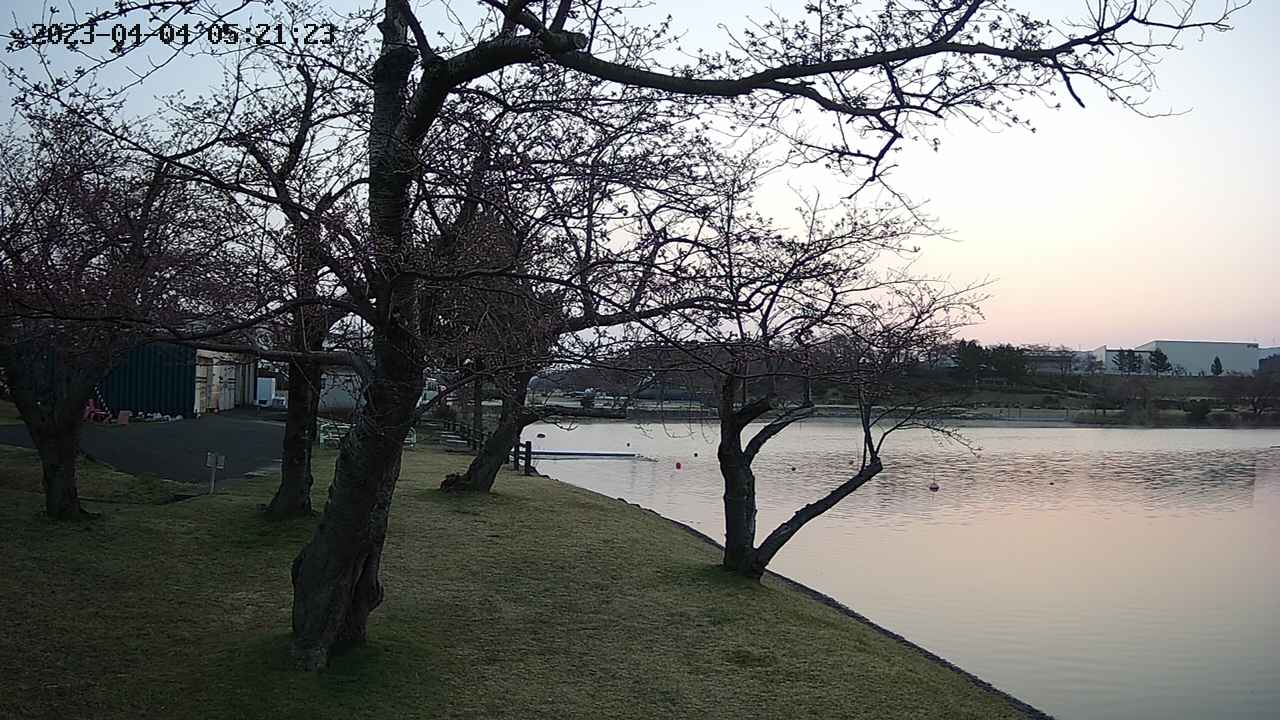 shirase1-20230404052115.jpg