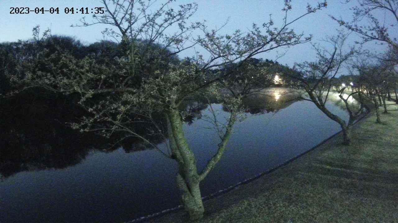 shirase2-20230404044128.jpg