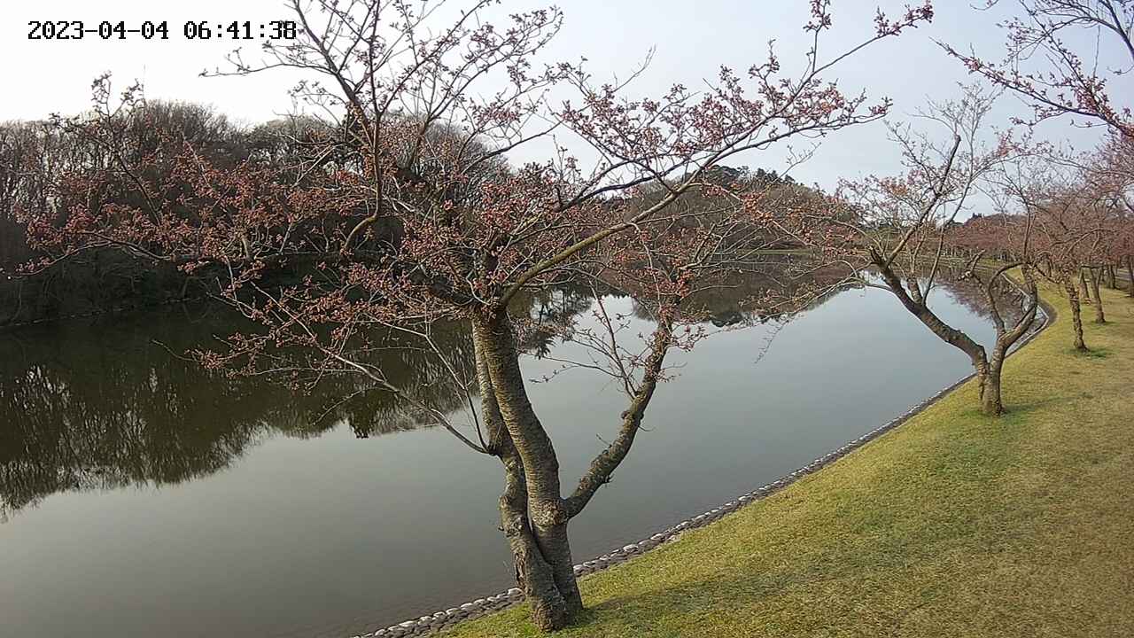 shirase2-20230404064130.jpg