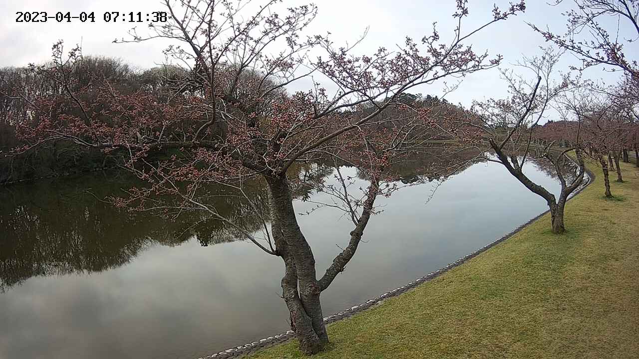 shirase2-20230404071129.jpg