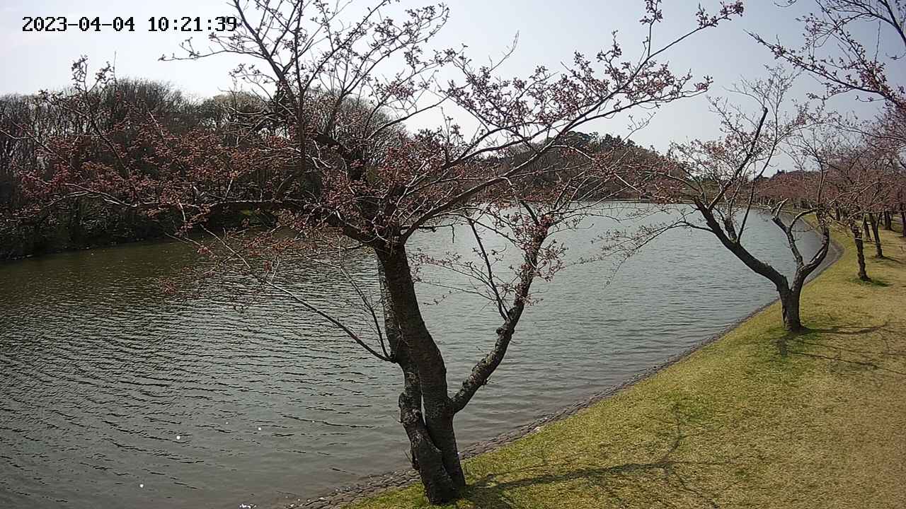 shirase2-20230404102128.jpg