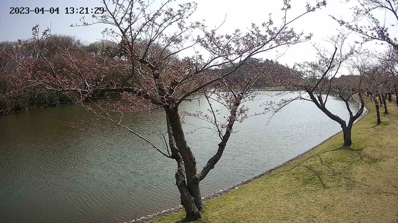 shirase2-20230404132130.jpg