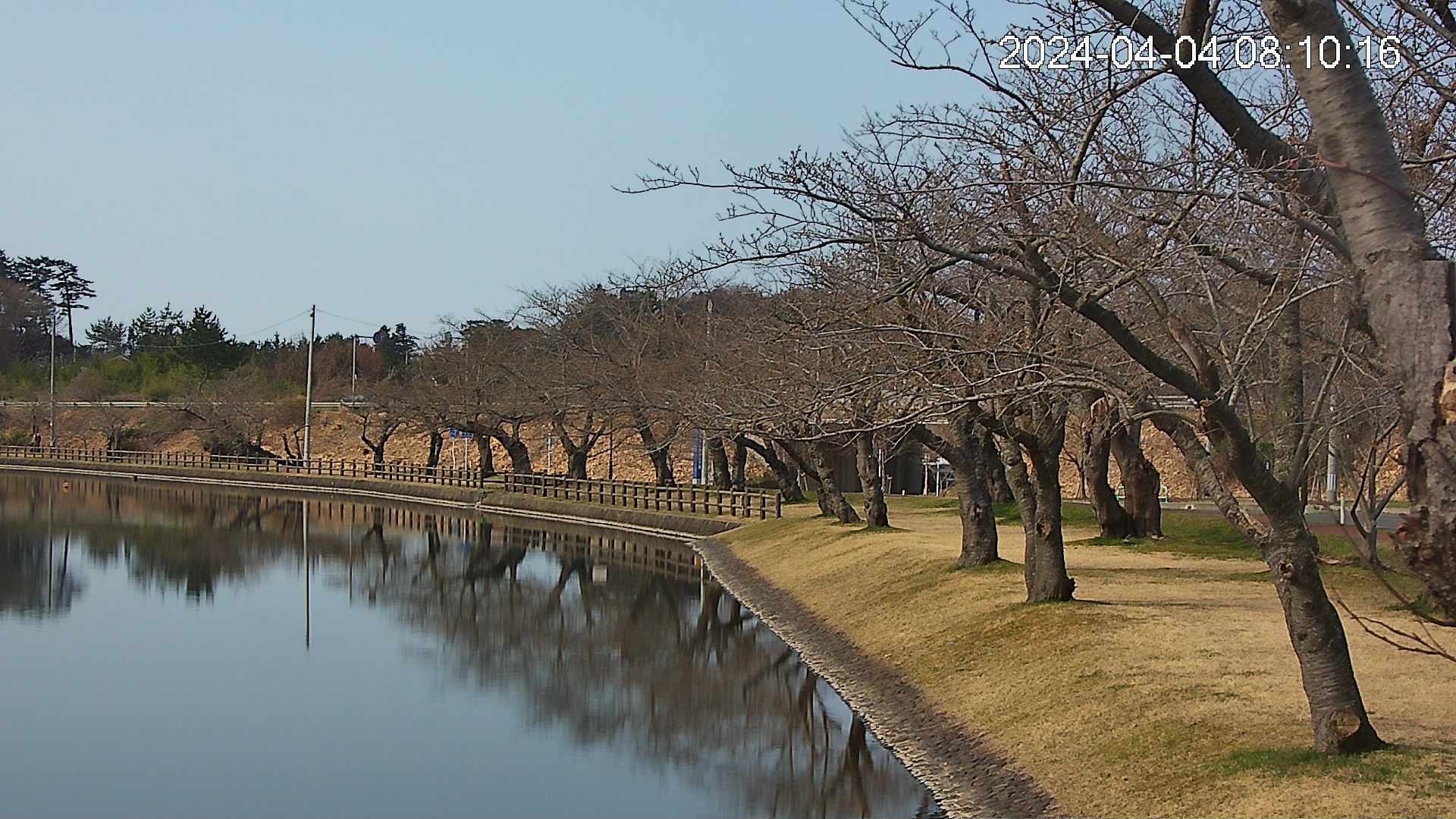 shirase2-20240404081016.jpg