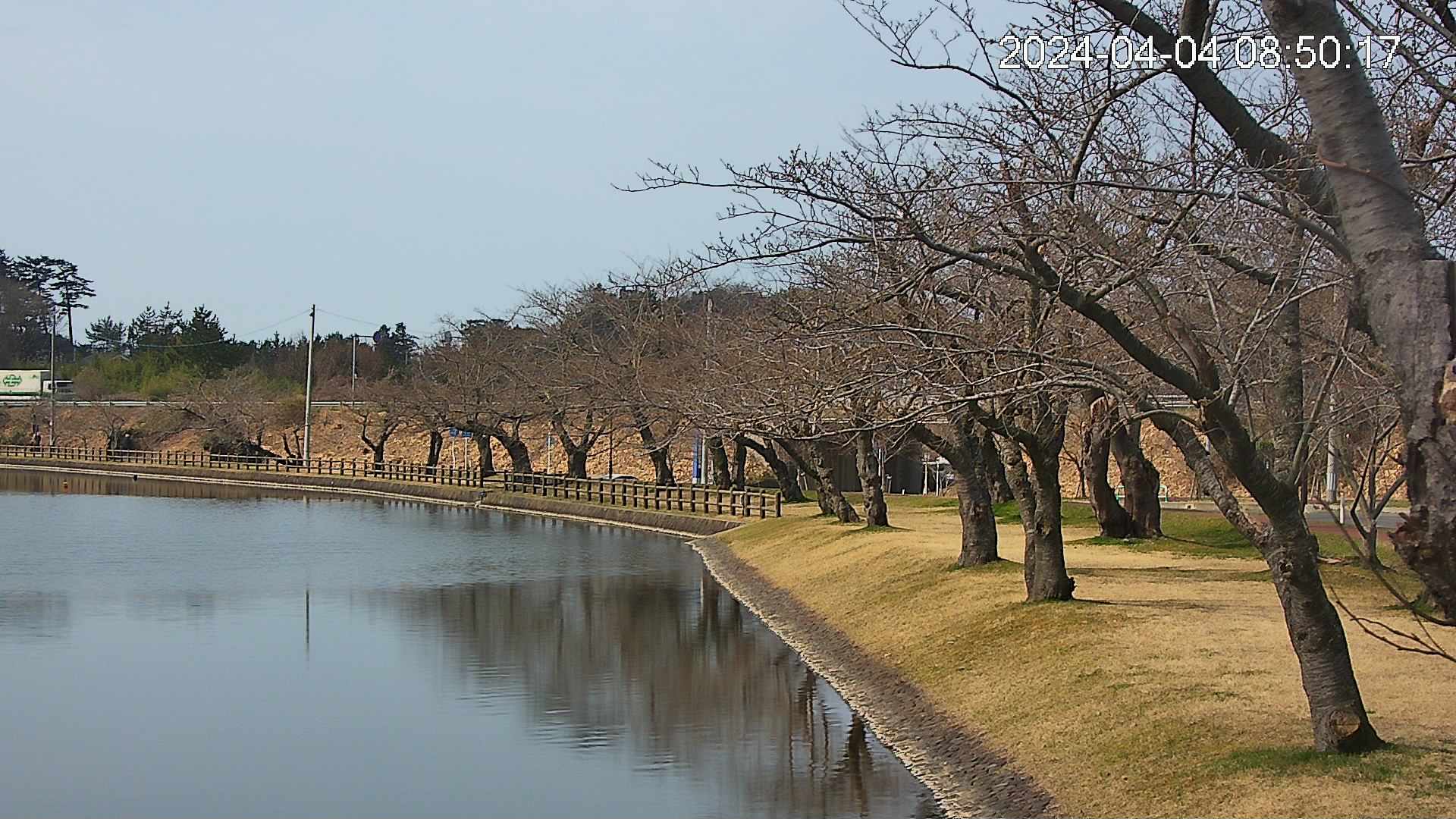 shirase2-20240404085017.jpg