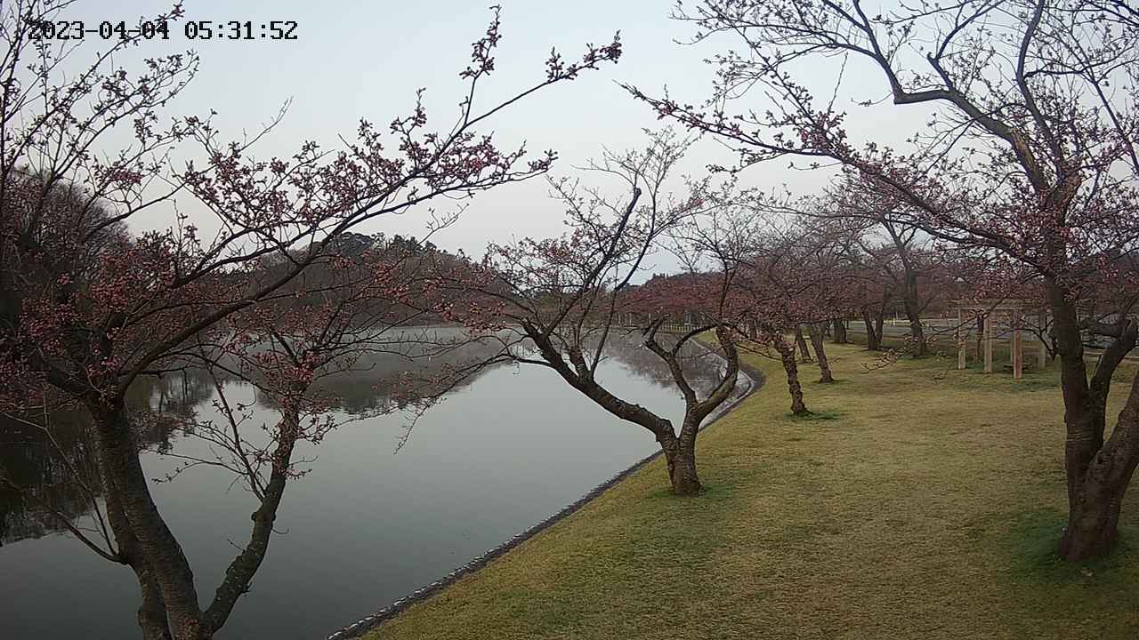 shirase3-20230404053144.jpg