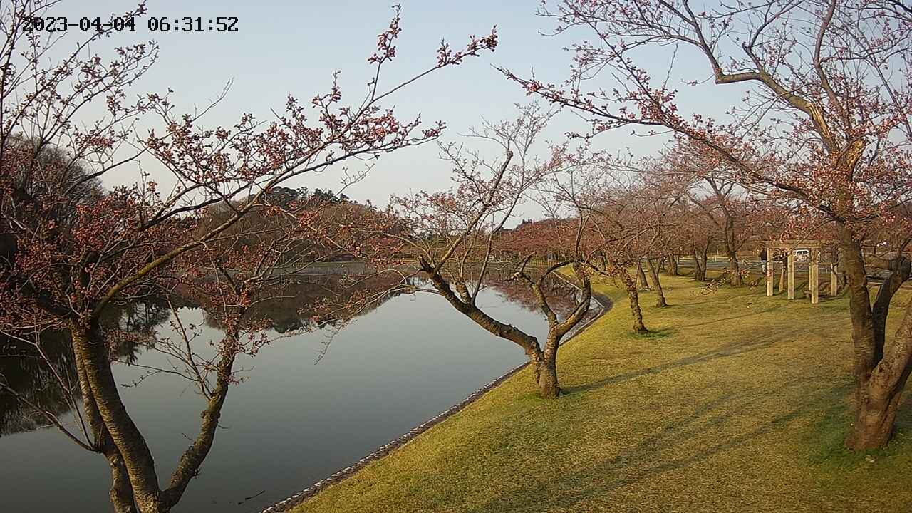 shirase3-20230404063144.jpg