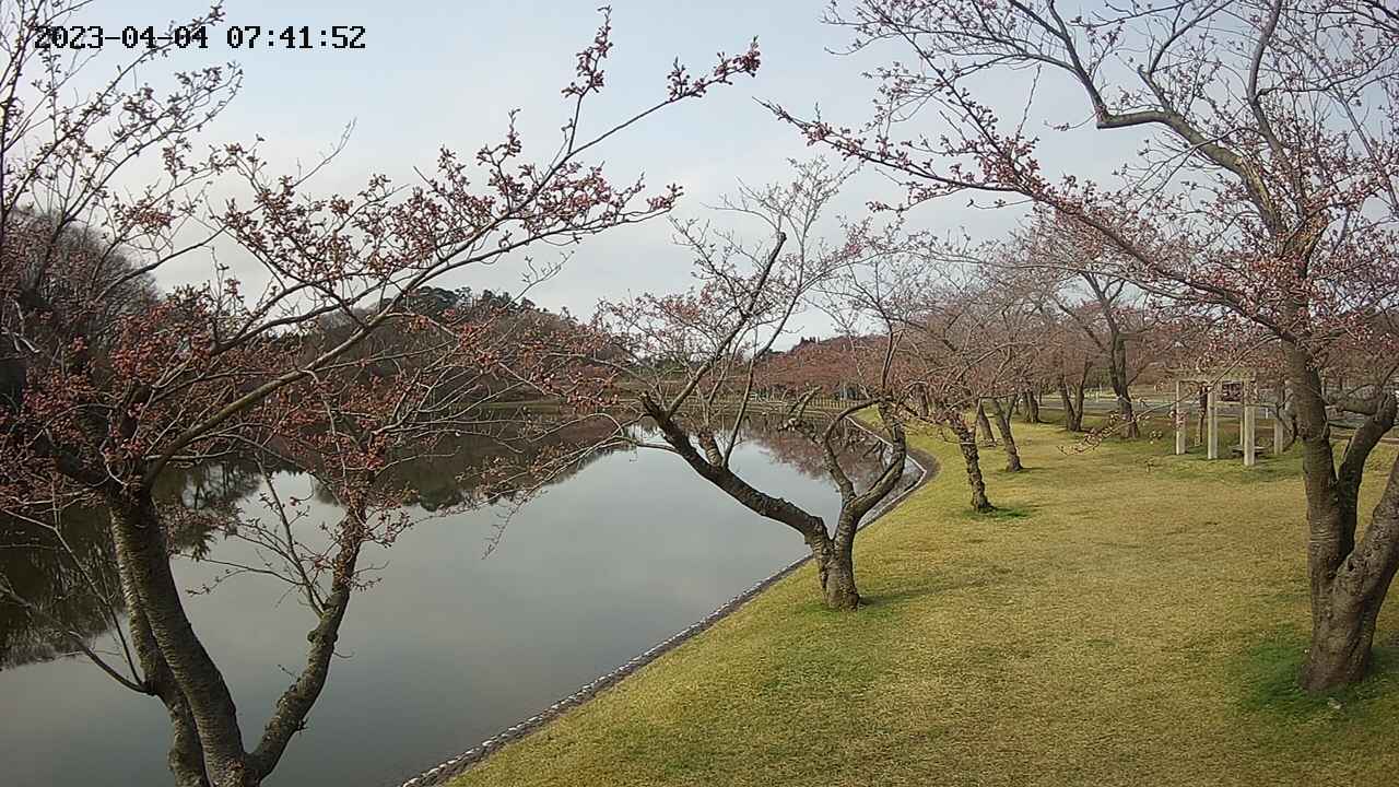 shirase3-20230404074143.jpg