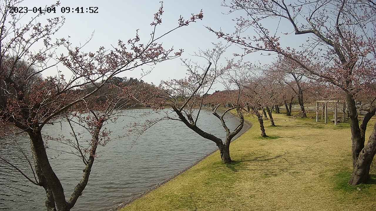 shirase3-20230404094141.jpg