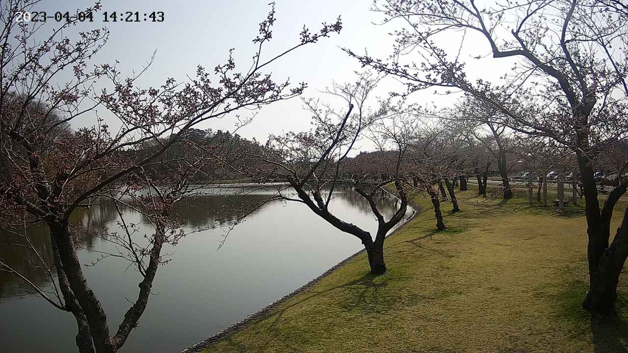 shirase3-20230404142143.jpg
