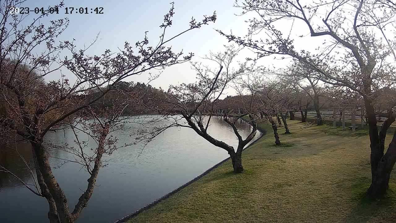 shirase3-20230404170143.jpg