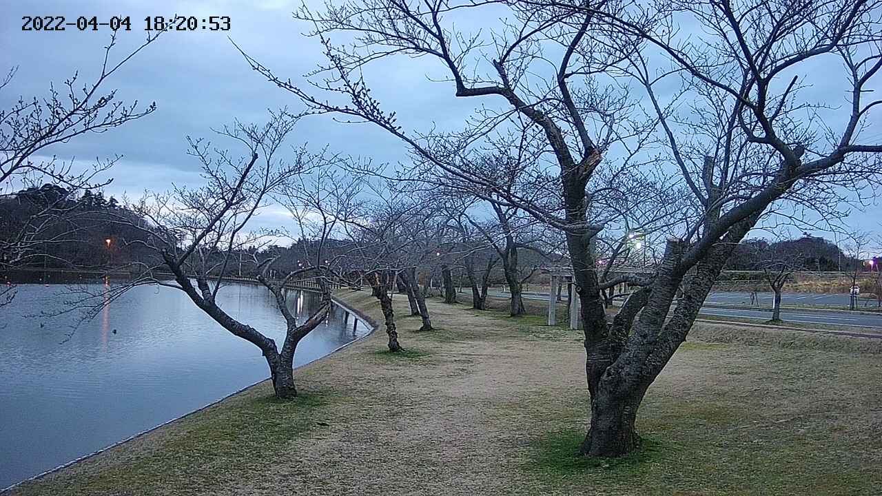 shirase420220404182055.jpg