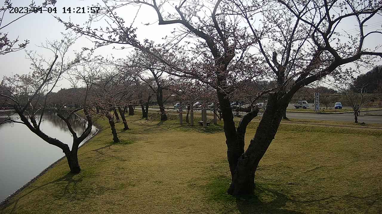 shirase4-20230404142157.jpg