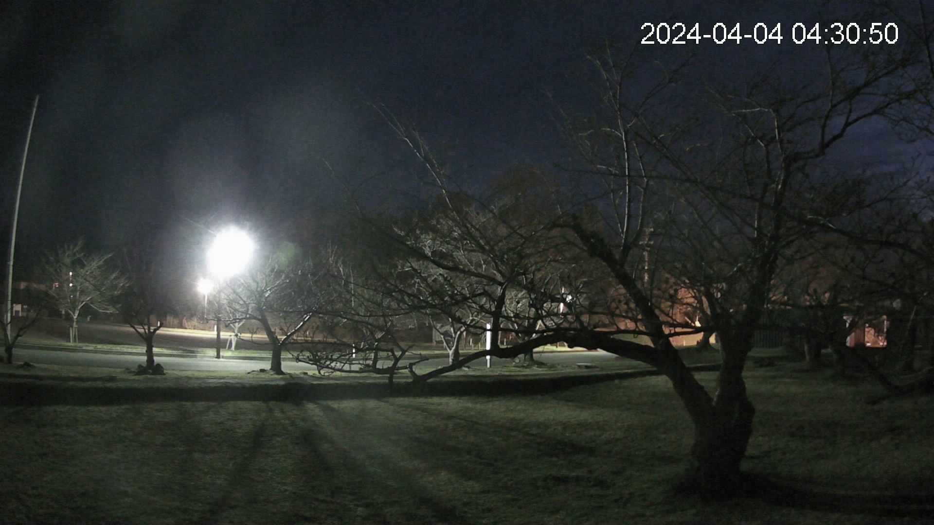 shirase4-20240404043049.jpg