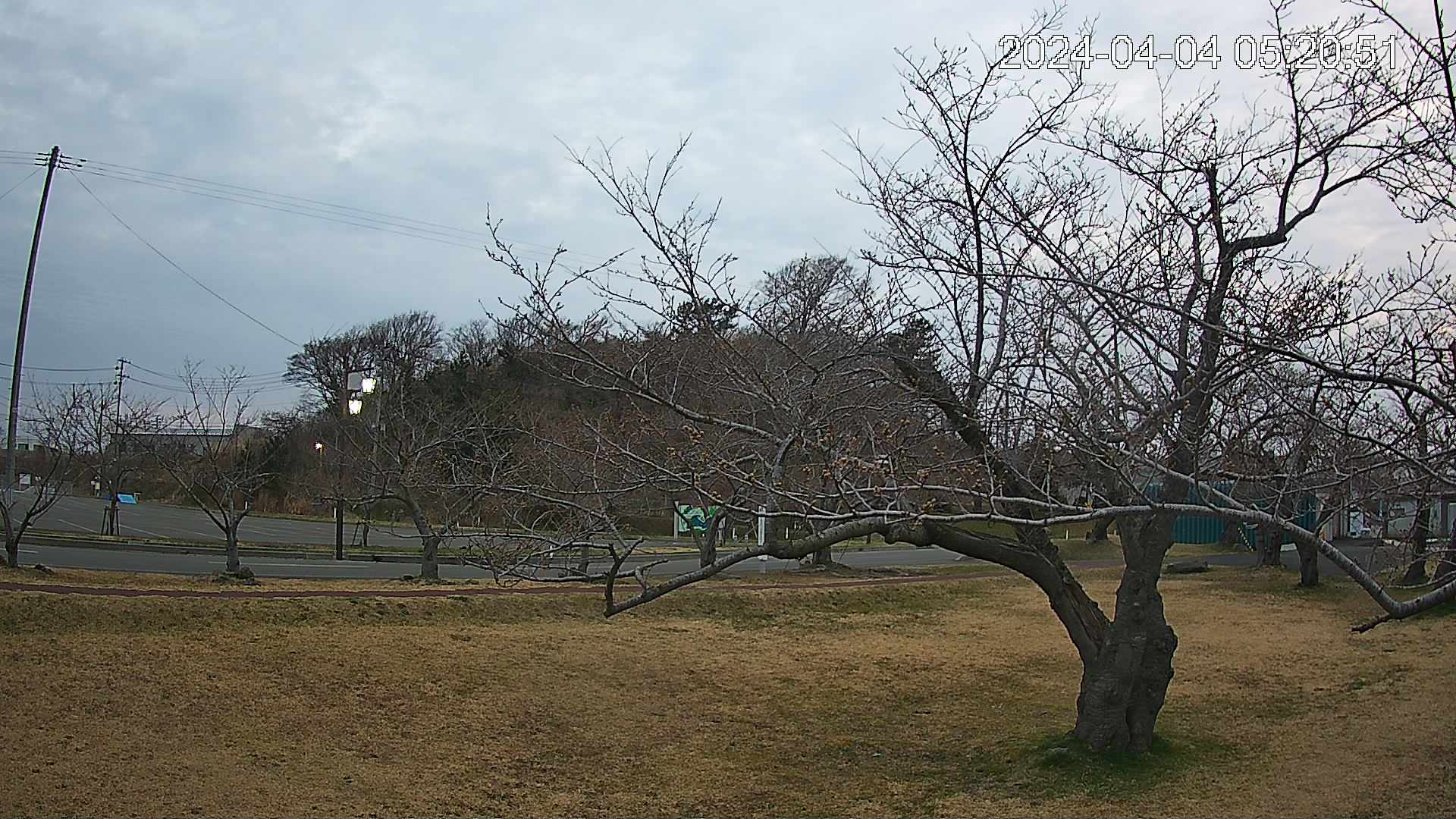 shirase4-20240404052051.jpg